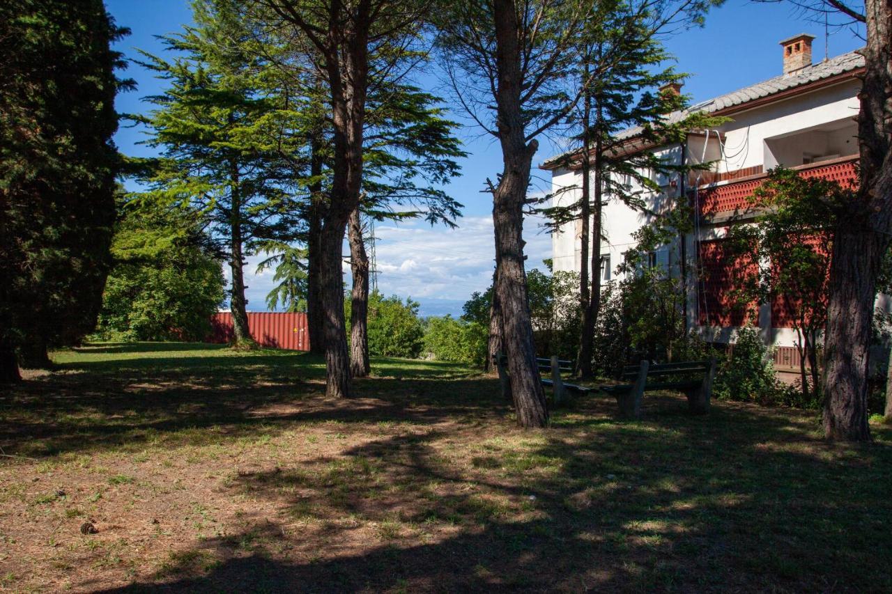Hostel Trobenta In Oblak ポルトローシュ エクステリア 写真