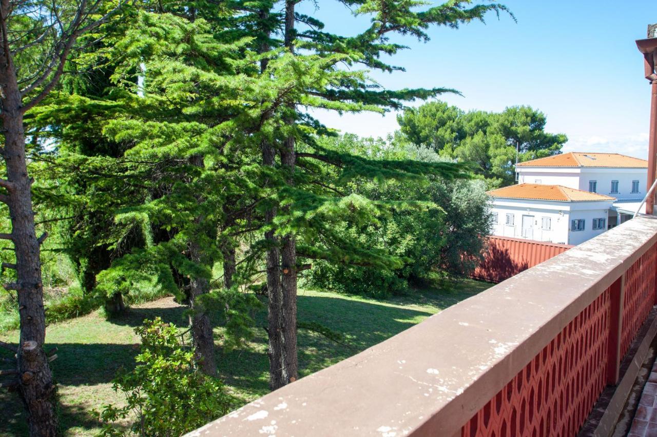 Hostel Trobenta In Oblak ポルトローシュ エクステリア 写真