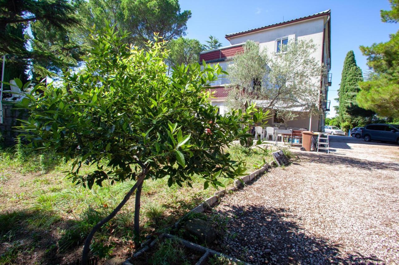 Hostel Trobenta In Oblak ポルトローシュ エクステリア 写真