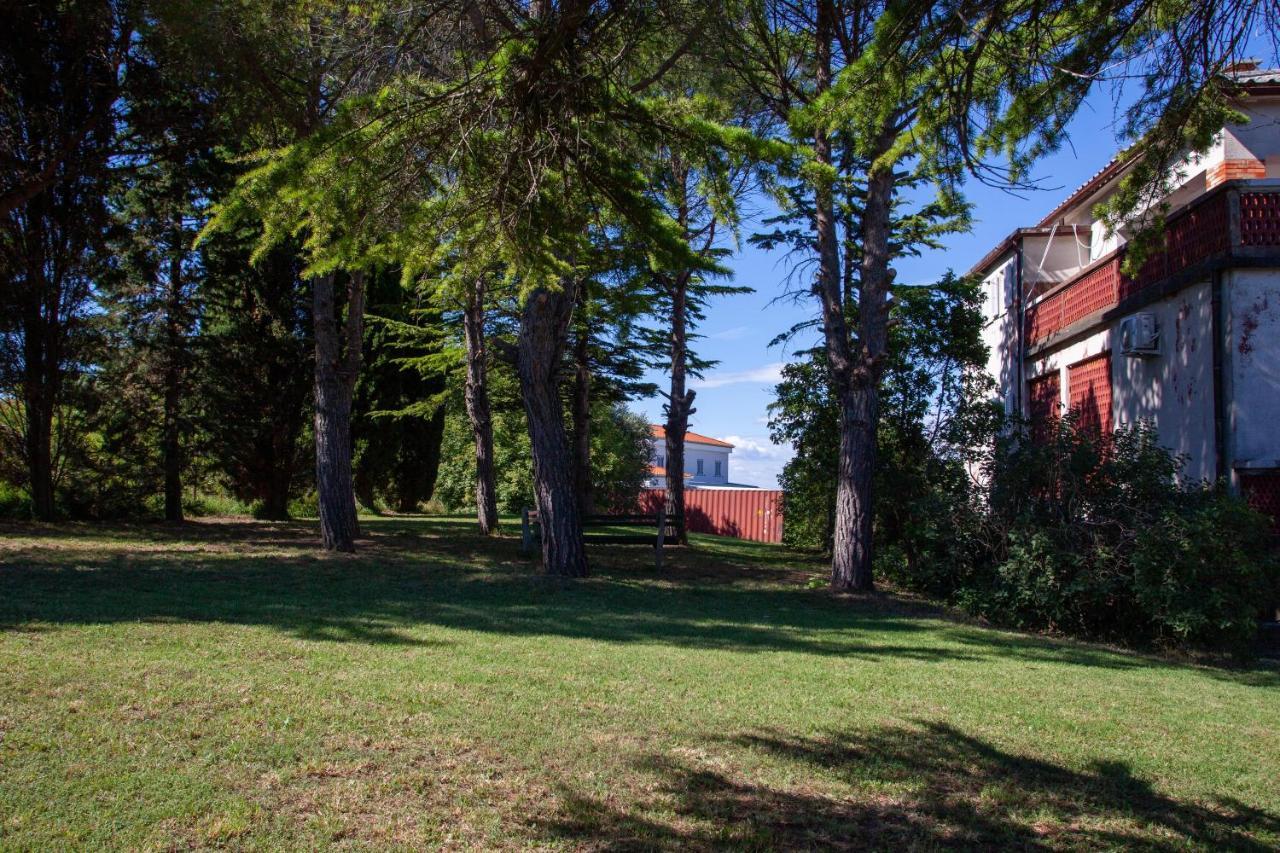 Hostel Trobenta In Oblak ポルトローシュ エクステリア 写真