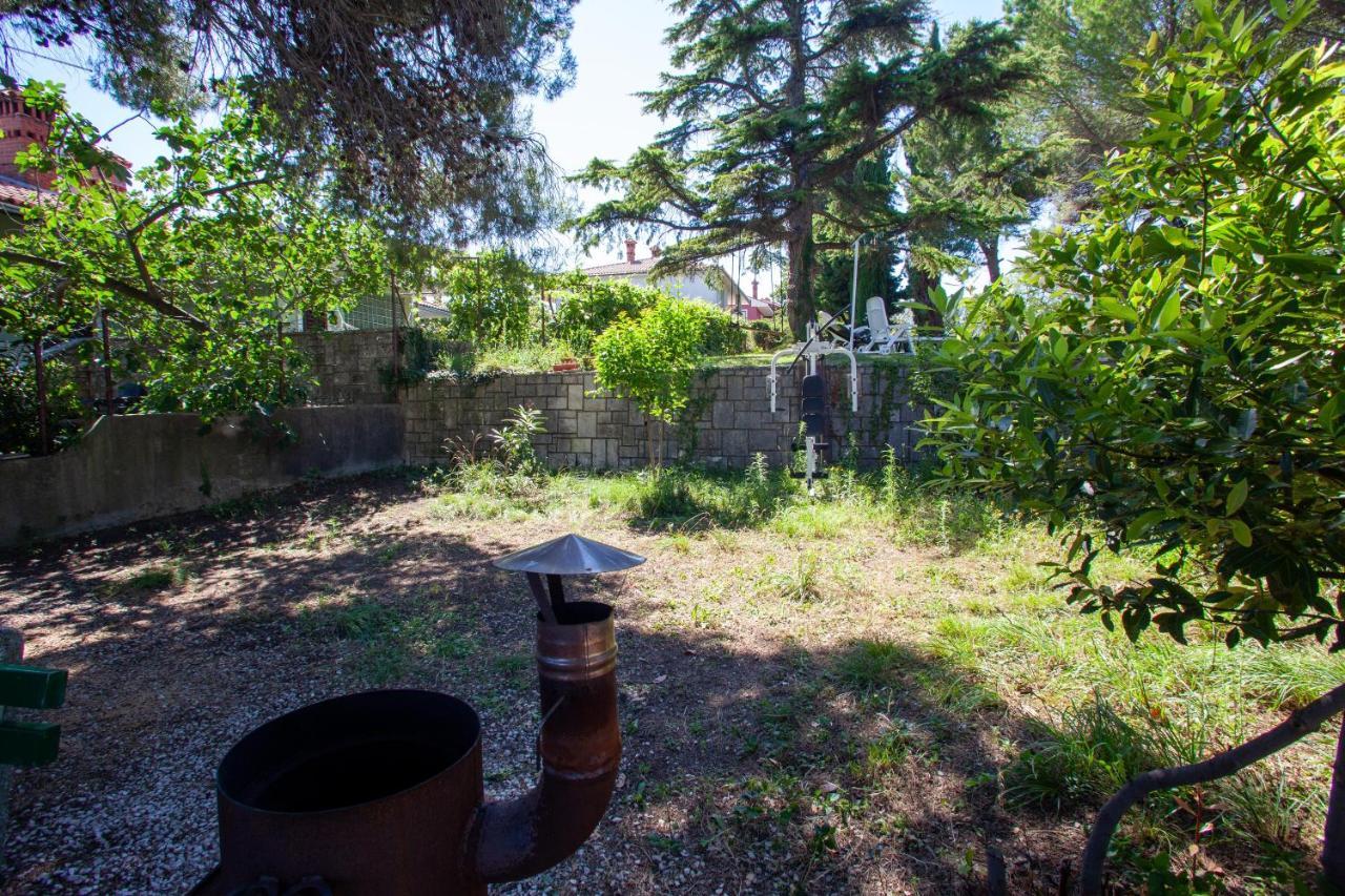 Hostel Trobenta In Oblak ポルトローシュ エクステリア 写真